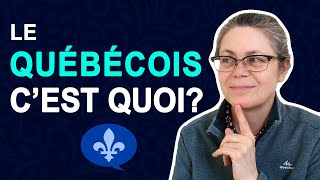 WHAT IS QUEBEC FRENCH  Québécois 101 [upl. by Ttehc222]