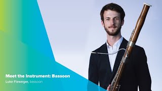 Meet the Instrument Bassoon [upl. by Navak19]