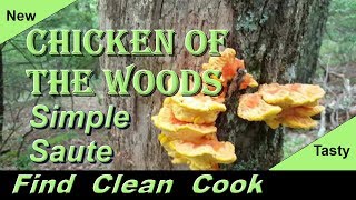 Chicken of the woods cooking Find Clean Cook Simple Saute Laetiporus Sulphureus identification [upl. by Greyso]