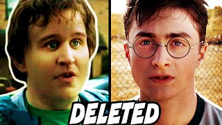 The Most Important Harry Potter Deleted Scene Dudleys Redemption  Harry Potter Explained [upl. by Nythsa]