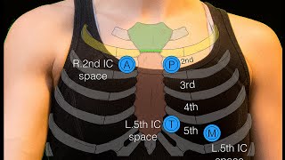 Sternal angle [upl. by Nahtonoj4]