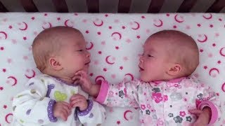 Identical twin girls engage in deep conversation [upl. by Timothee569]