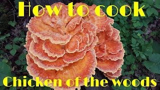 How to cook Chicken of the Woods Mushrooms [upl. by Gnanmas520]