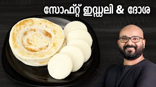 സോഫ്റ്റ് ഇഡ്ഡലി amp ദോശ  Soft Idli amp Dosa Recipe  Easy amp Perfect Idli Dosa Batter [upl. by Ahselaf]