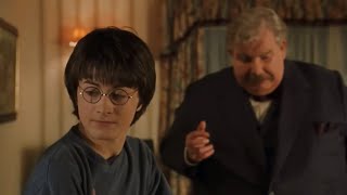 harry potter being treated badly by the dursley for 1 minute and 9 seconds straight [upl. by Kruter999]