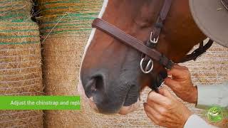 Fitting the LightRider Bitless Bridle  traditional styles [upl. by Uird]