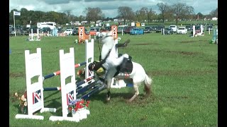 show jumping falls fails and flings [upl. by Aigroeg264]