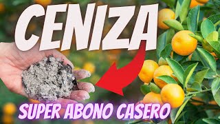 ⭐ CENIZA Abono para Floración y Crecimiento 🍒 Fertilizante Casero Orgánico para Frutales y Flores [upl. by Christina914]