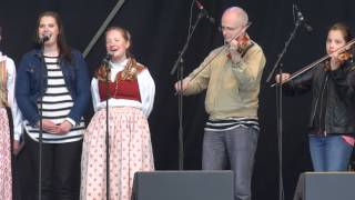 Swedish Folk Music Live [upl. by Key236]