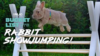 The Worlds Cutest Sport  Rabbit Show Jumping [upl. by Eiramacissej724]