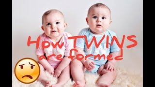 HOW TWINS ARE FORMED  IDENTICAL amp NONIDENTICAL TWINS [upl. by Nnhoj]