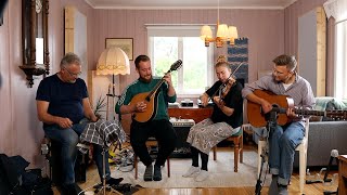 Den ljusa hallingen  Swedish Folk Music [upl. by Riebling944]