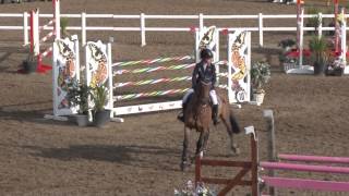 Showjumping  Chepstow International Children On Horses [upl. by Levitt404]