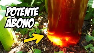 ¡Este Fertilizante Vale ORO Abono Casero para tus Plantas  La Huerta de Ivan [upl. by Nnaj]