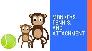 What is Attachment  Harry Harlows Monkeys [upl. by Ameer471]